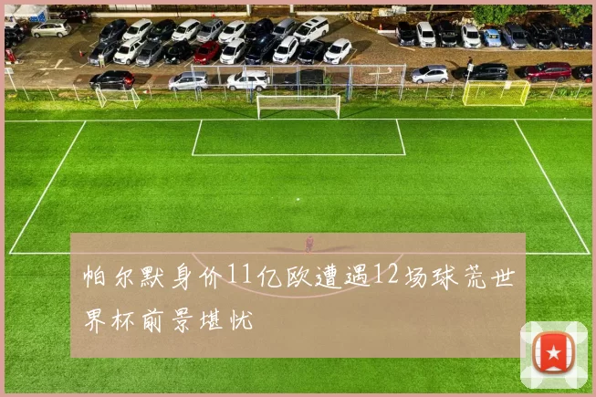 帕尔默身价11亿欧遭遇12场球荒世界杯前景堪忧